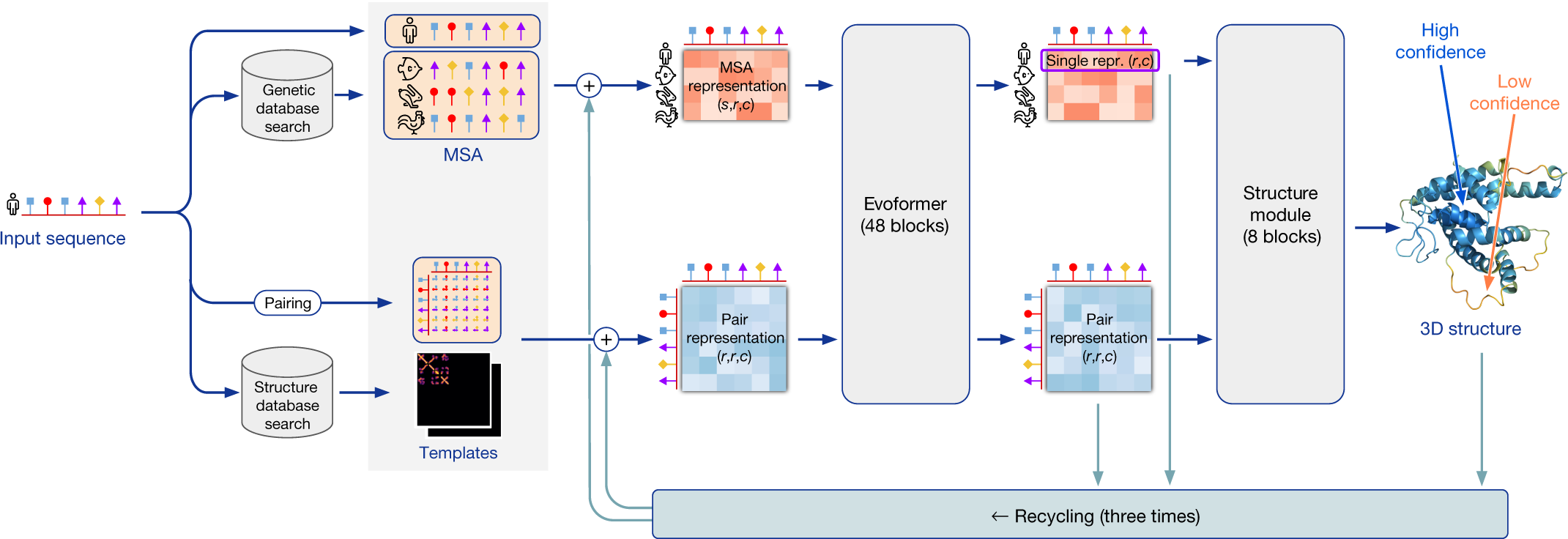 AlphaFold inference pipeline, source https://doi.org/10.1038/s41586-021-03819-2
